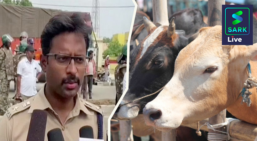 cow vigilante madhyapradesh