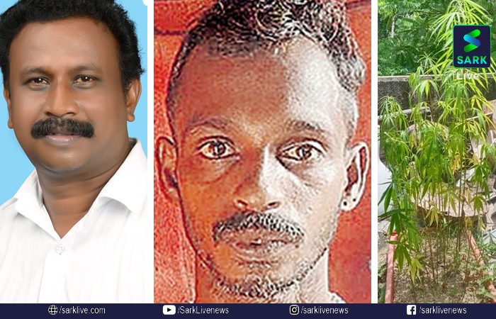 മരുമകൻ വീട്ടിൽ കഞ്ചാവ് വളർത്തി; ബിജെപി പട്ടികജാതി മോർച്ച ജില്ലാ അധ്യക്ഷൻ രാജിവെച്ചു