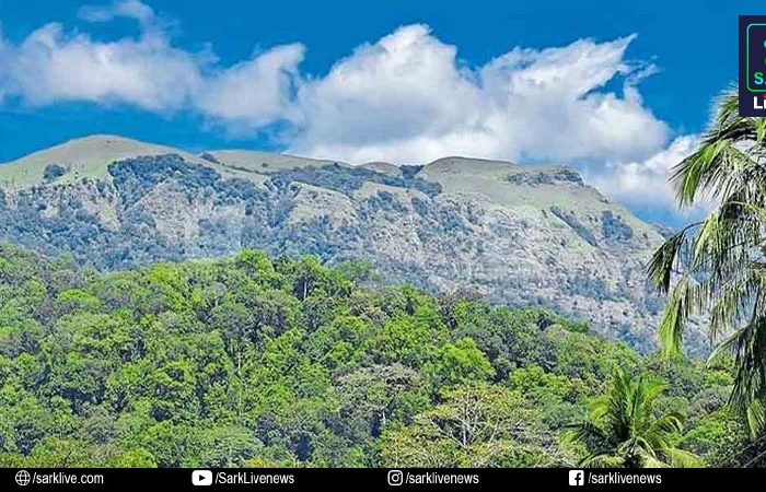 ബഫര്‍ സോണ്‍ വിഷയത്തില്‍ കേരളം പുനഃപരിശോധനാ ഹര്‍ജി നല്‍കി