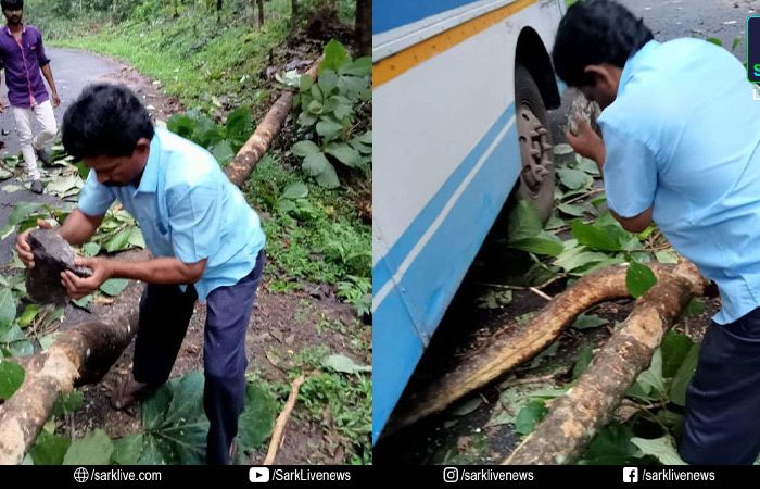 കെഎസ്ആര്‍ടിസി ബസിന്റെ മുന്നിലേക്ക് കാട്ടാന തേക്ക് മറിച്ചിട്ടു; കല്ലു കൊണ്ട് മരം മുറിച്ചു മാറ്റി കണ്ടക്ടര്‍