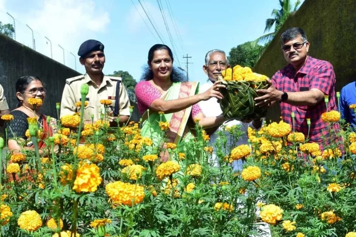 ഓണം കളറാക്കാൻ ഇത്തവണ ജയില്‍ അന്തേവാസികളുടെ ചെണ്ടുമല്ലി