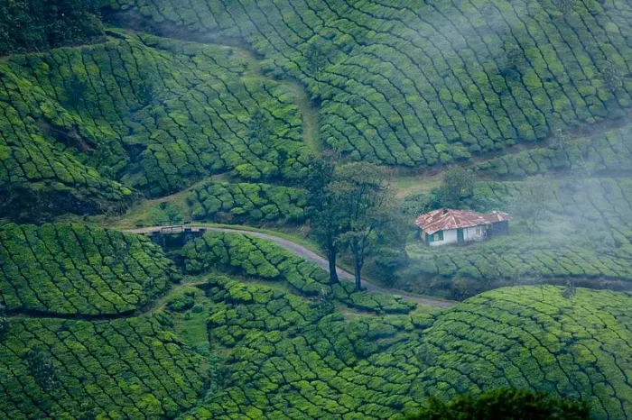 മഞ്ഞിൽ മുങ്ങിക്കുളിച്ച് മൂന്നാർ;  താപനില പൂജ്യം ഡി​ഗ്രി