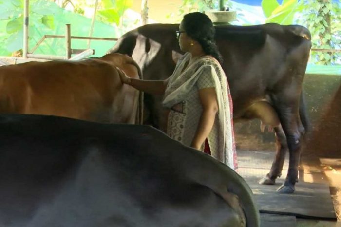 ക്ഷീരകർഷകയ്ക്ക് സബ്സിഡി വാഗ്ദാനം ചെയ്തു വഞ്ചിച്ചുവെന്ന ആരോപണത്തിൽ മന്ത്രി ജെ.ചിഞ്ചു റാണിയുടെ വിശദീകരണങ്ങൾ തള്ളി കുടുംബം