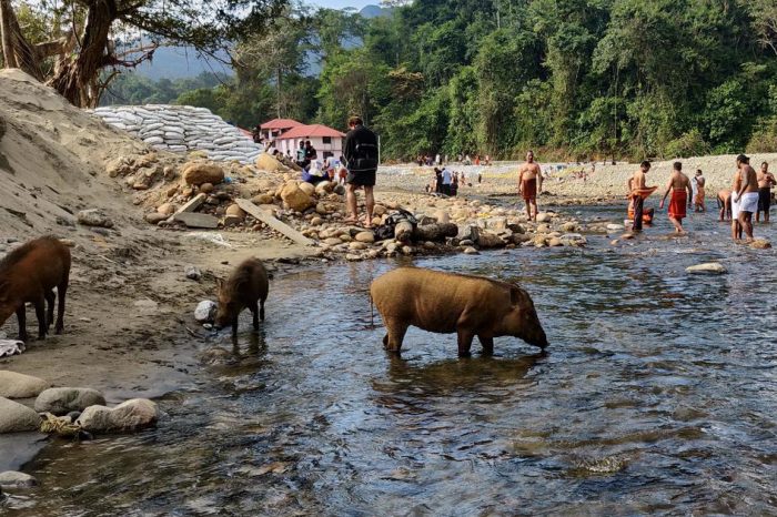 ശബരിമല ഭക്തർ കാണുന്ന വെള്ളത്തിലും കുളത്തിലുമൊക്കെ കുളിക്കരുത്; അമീബിക് ജ്വരം ബാധിച്ചാൽ ദൈവത്തിന് പോലും സഹായിക്കാൻ കഴിയില്ല
