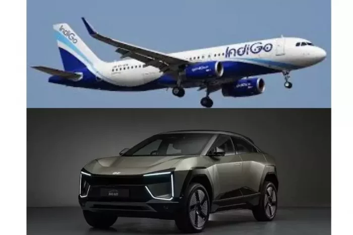 പേരിലെ തർക്കം തീർന്നില്ല; ഇൻഡിഗോ-മഹീന്ദ്ര മധ്യസ്ഥ ചർച്ച പരാജയപ്പെട്ടു